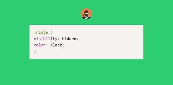 custom CSS WordPress