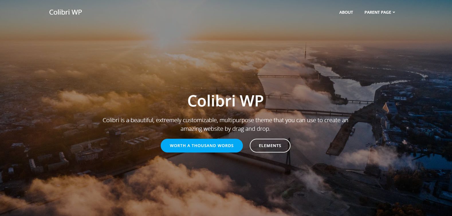 Colibri portfolio theme