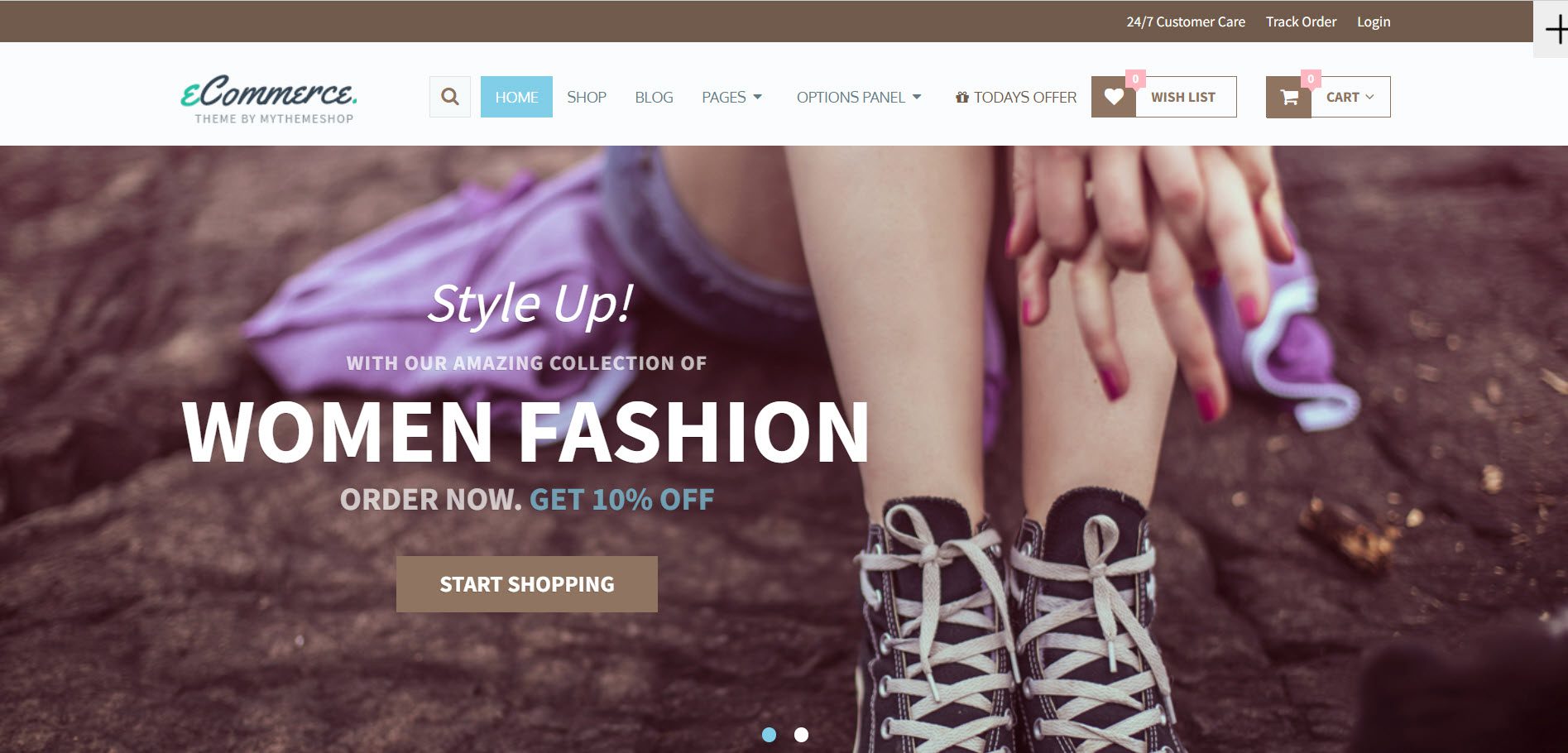 ecommerce wp theme