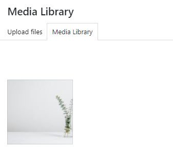 Media library images for the background