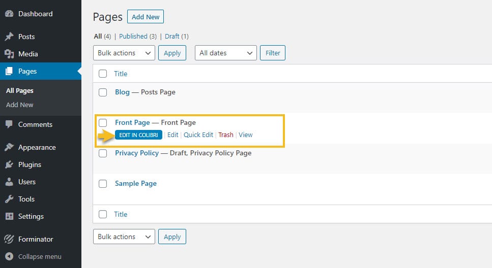 Opening the WordPress Customizer