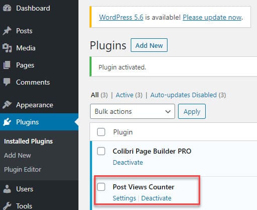 set up the WordPress counter plugin