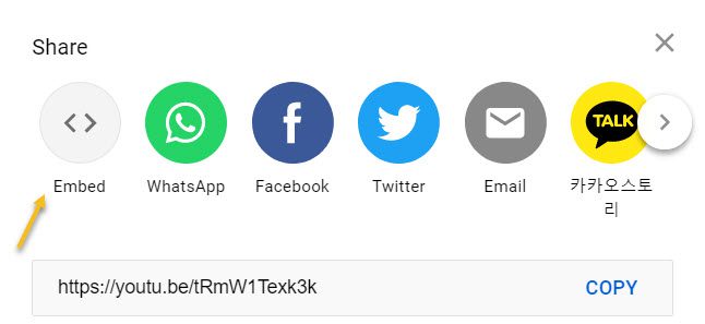 Share option via embedding