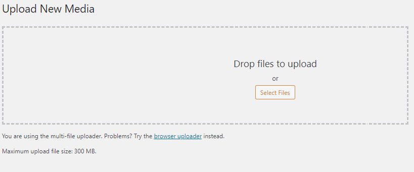 Upload files to the Media Library