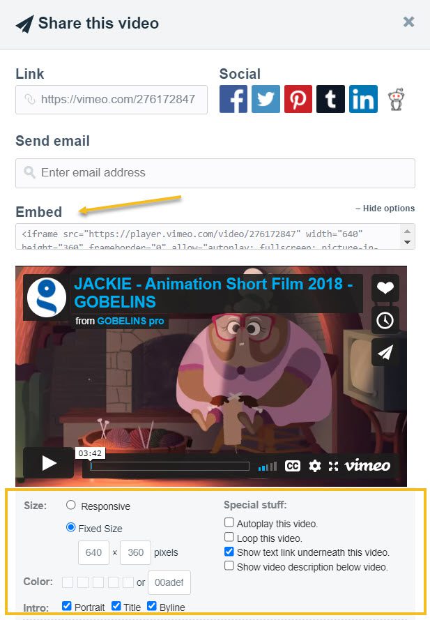 Vimeo video embedding options