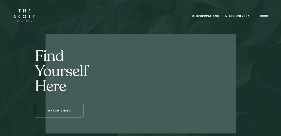 dark green and white