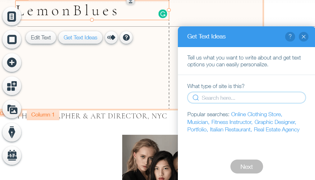 get text ideas in Wix