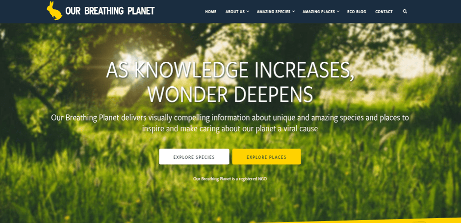 orange and violet in color schemes