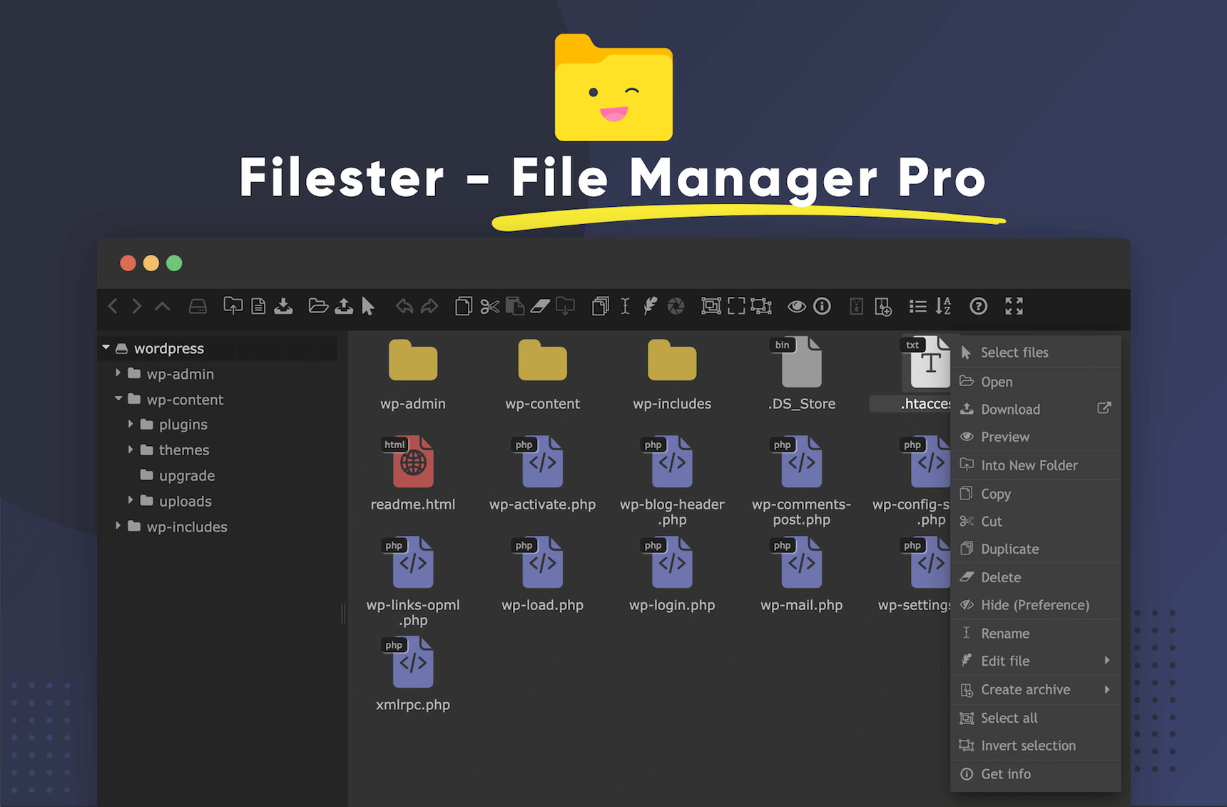 Filester WordPress File Manager