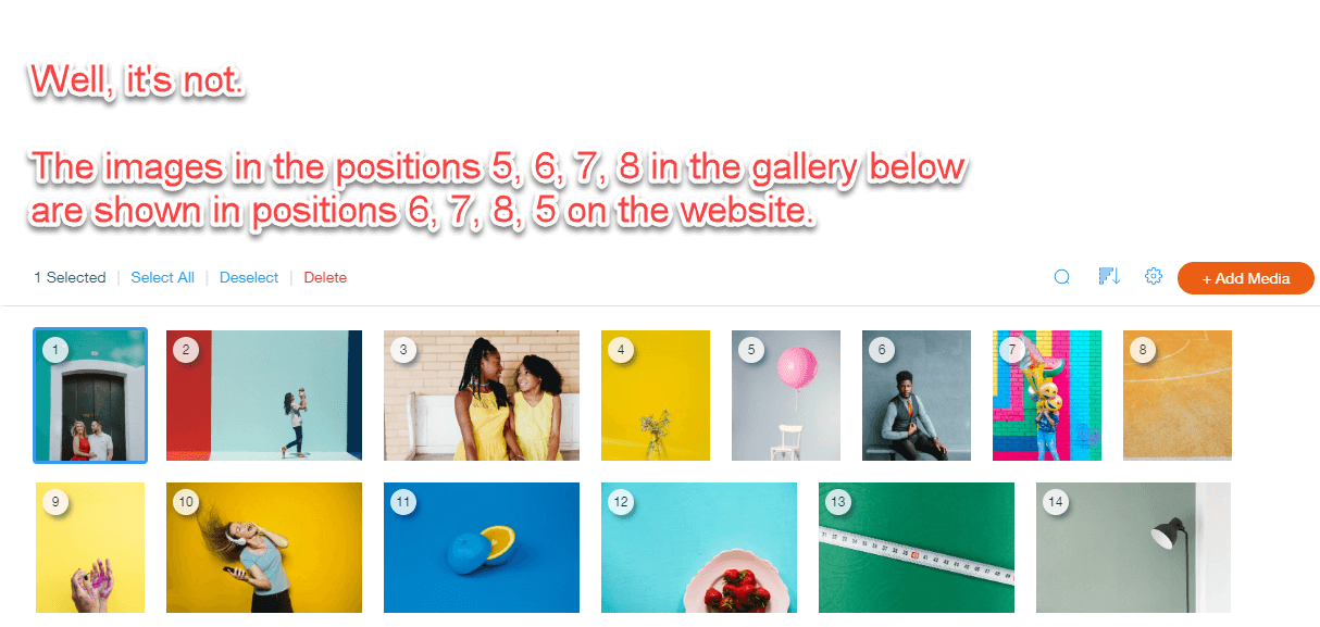 Wix gallery issues