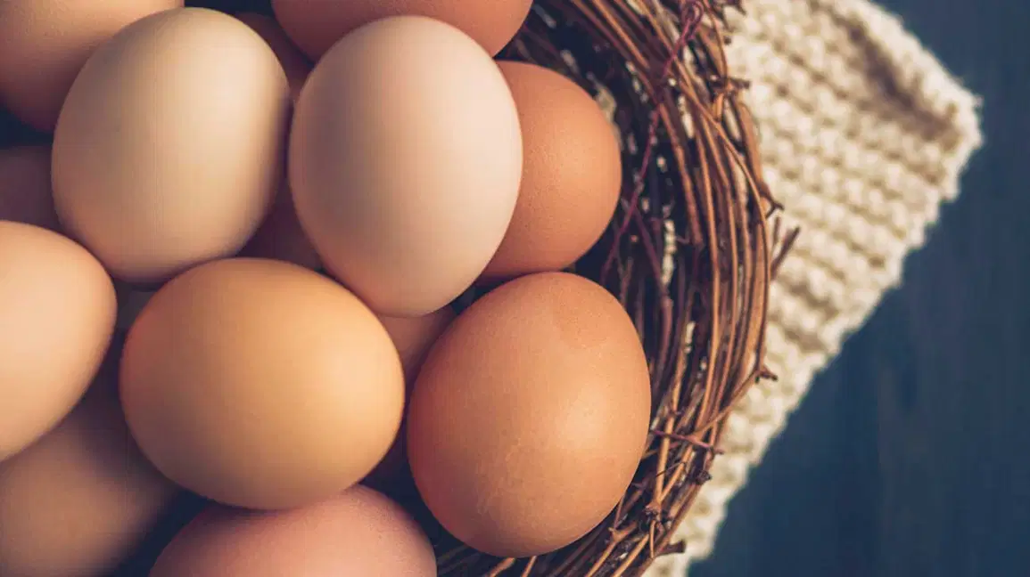 What are the benefits of male eggs?